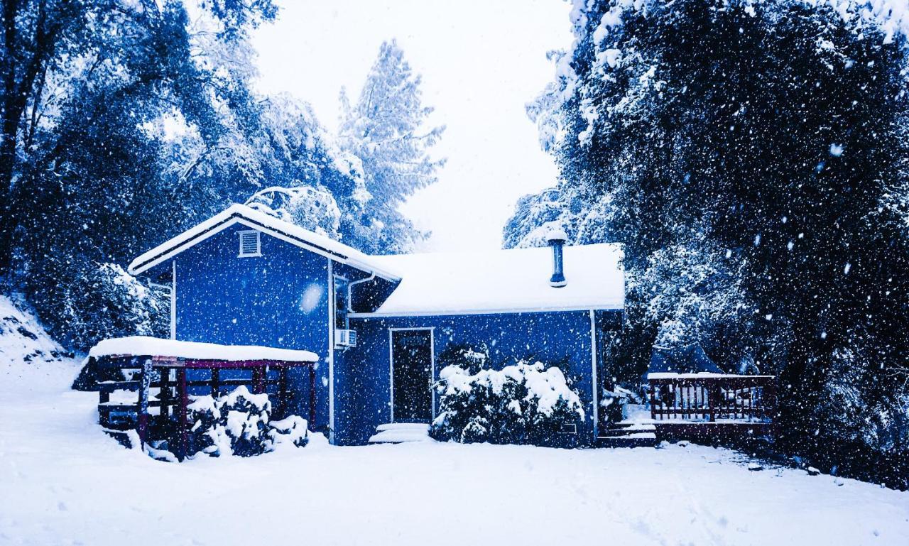 New! Cozy & Secluded House W/Deck - Near Yosemite! Villa Tuolumne Buitenkant foto